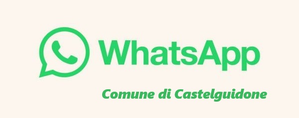 Servizio di messaggistica istantanea WhatsApp 